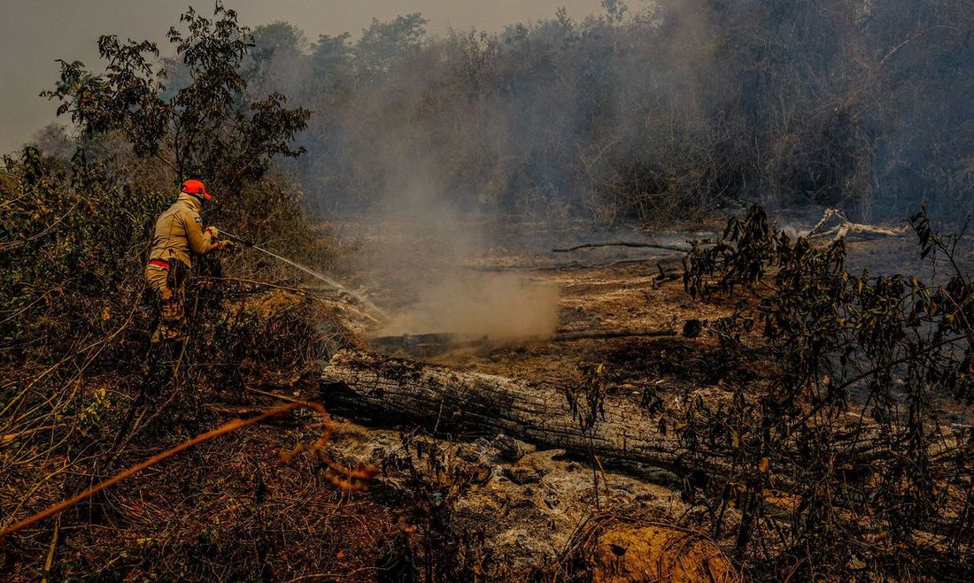 Agravamento de incêndios em Mato Grosso do Sul mobiliza senadores