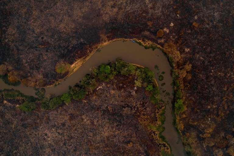 Três visões sobre o presente e o futuro do Pantanal