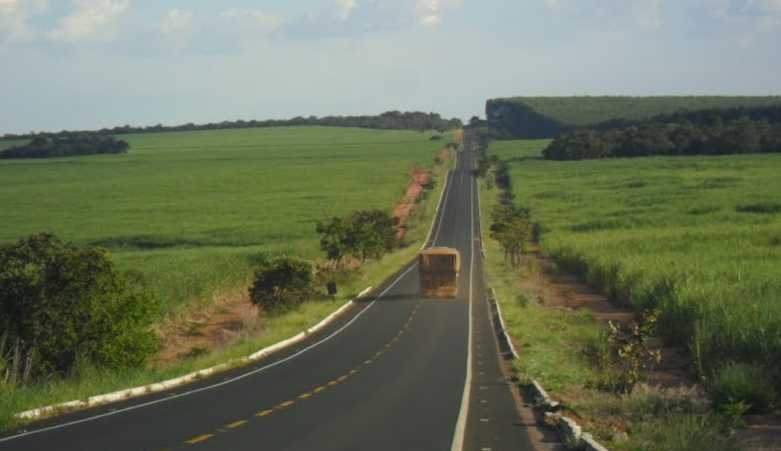Faixas de domínio das rodovias poderão ser usadas para a agricultura