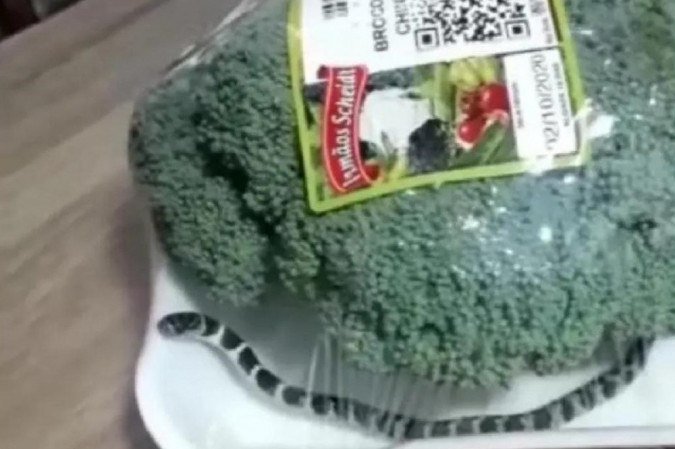 Mulher encontra cobra dentro de embalagem de brócolis