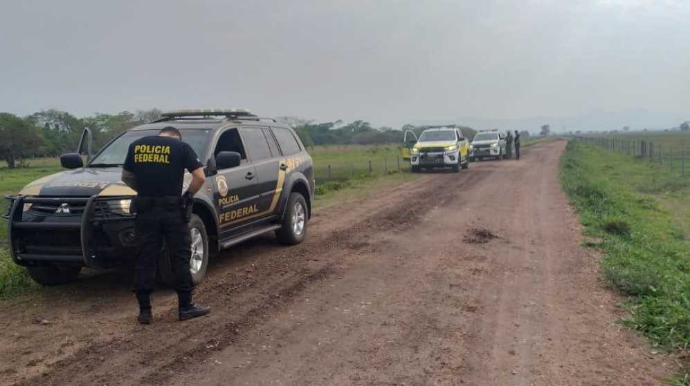 PF realiza operação para apurar crime ambiental no pantanal sul mato-grossense – vídeo