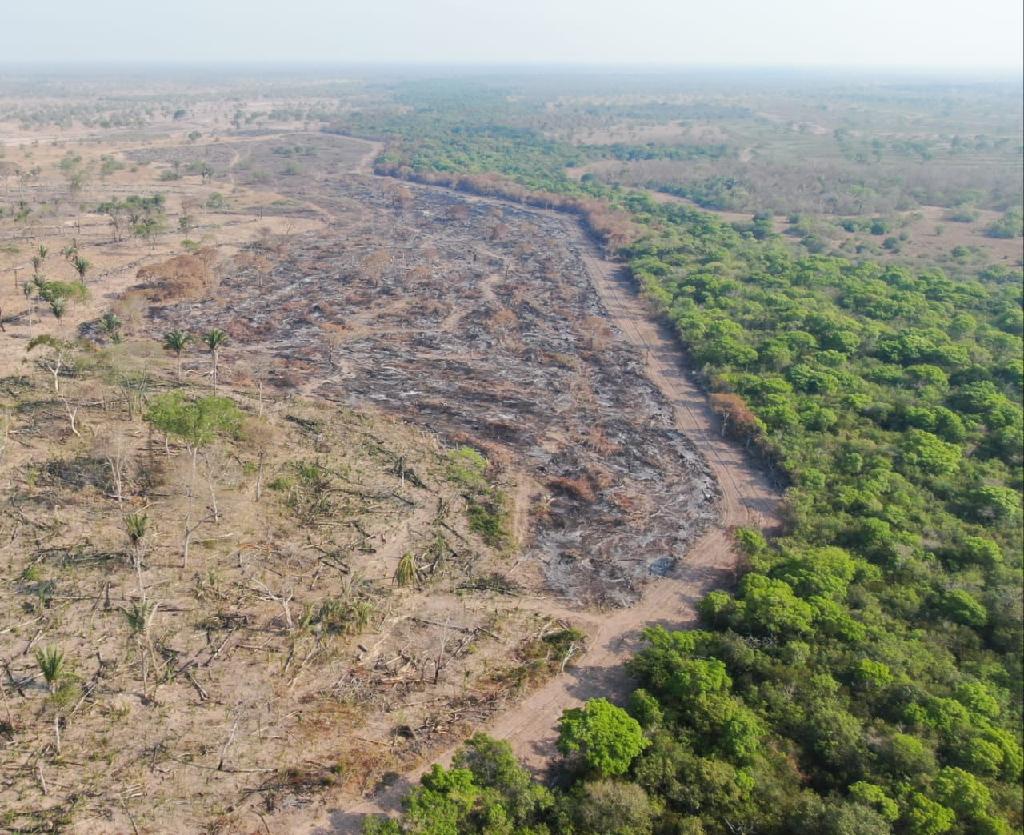 Operação apreende 5 tratores usados em desmatamento no Pantanal e aplica R$ 12 milhões em multas