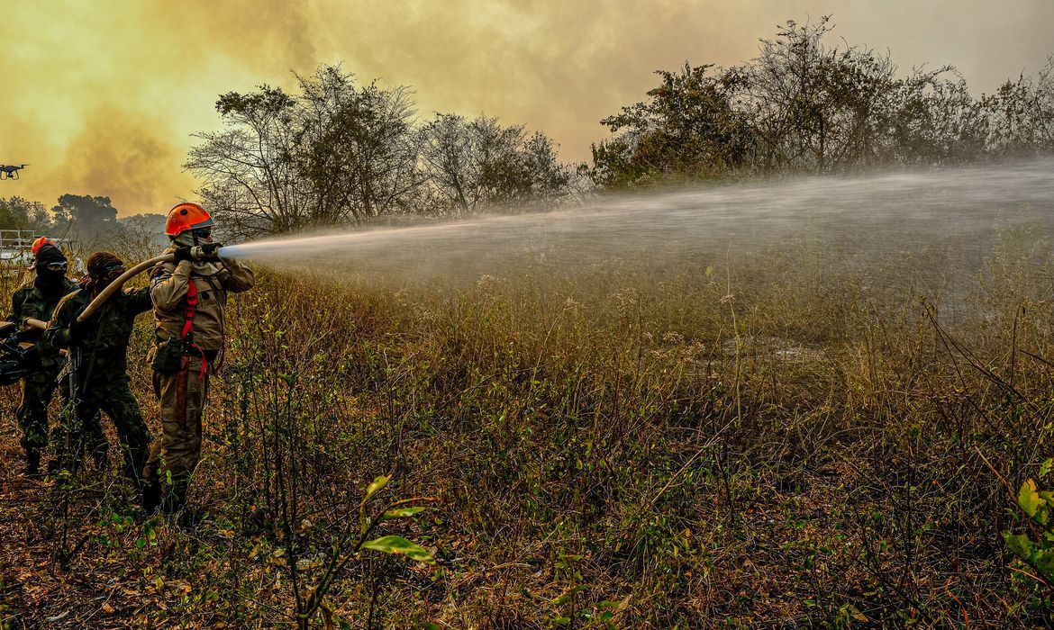 “Fogo já destruiu 3,461 milhões de hectares do Pantanal “