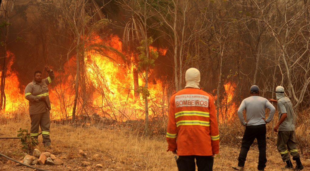 Bombeiros lutam para combater queimadas na região do Passo do Lontra e Rabicho
