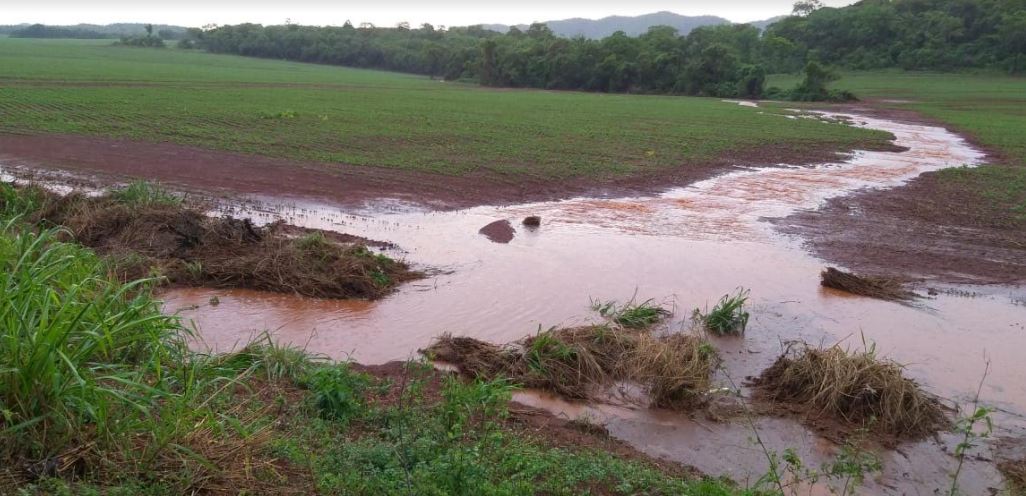 PMA autua arrendatário de fazenda por causar turbidez na água de córrego e rio afluentes do Formoso