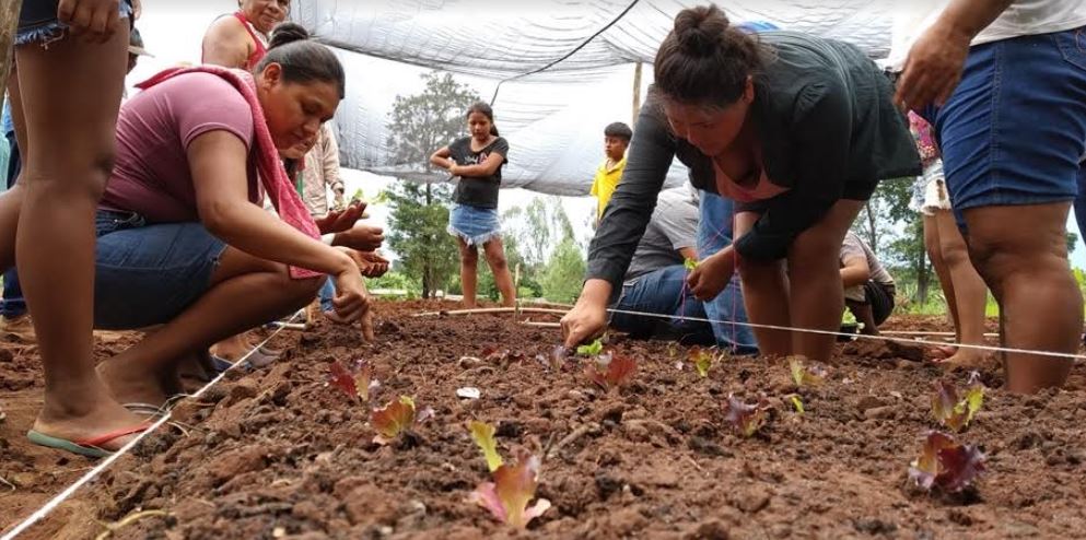 Projeto de Agricultura Periurbana passa a atender 18 comunidades tradicionais em MS