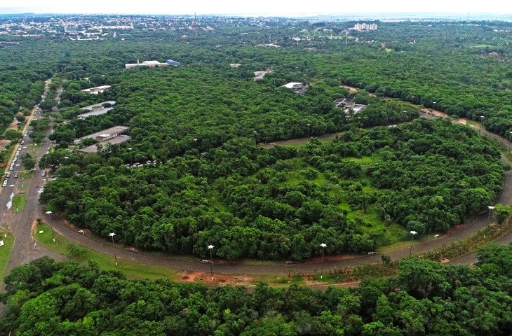 Revitalização de R$ 19 milhões será feita preservando a vegetação do Parque dos Poderes