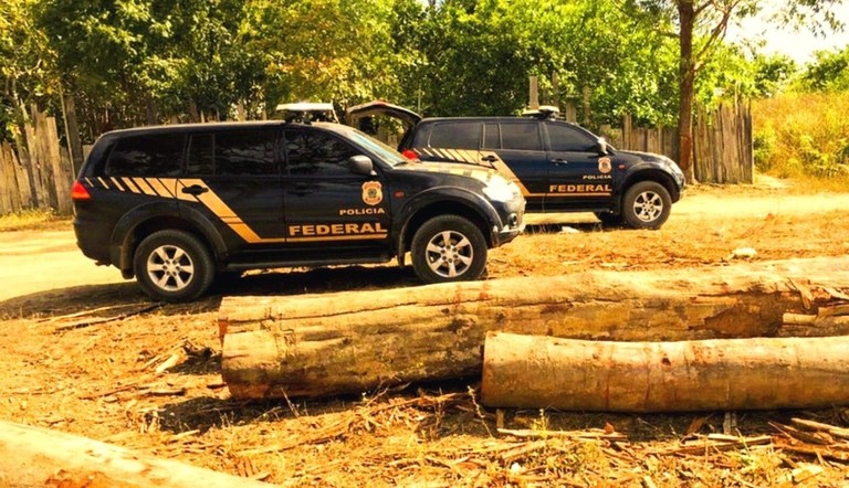 Operação da PF apreende 131 mil metros cúbicos de madeiras na Amazônia