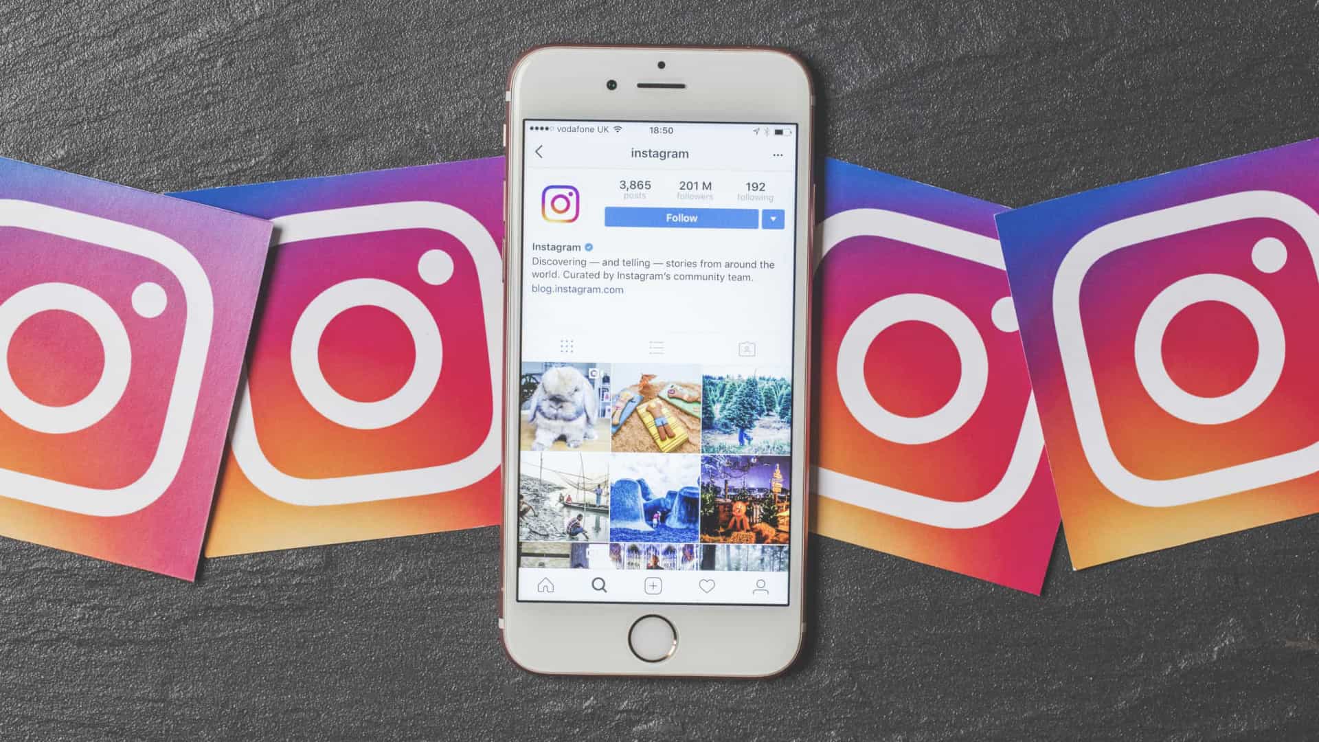 Instagram criará área dedicada a profissionais e criadores de conteúdo