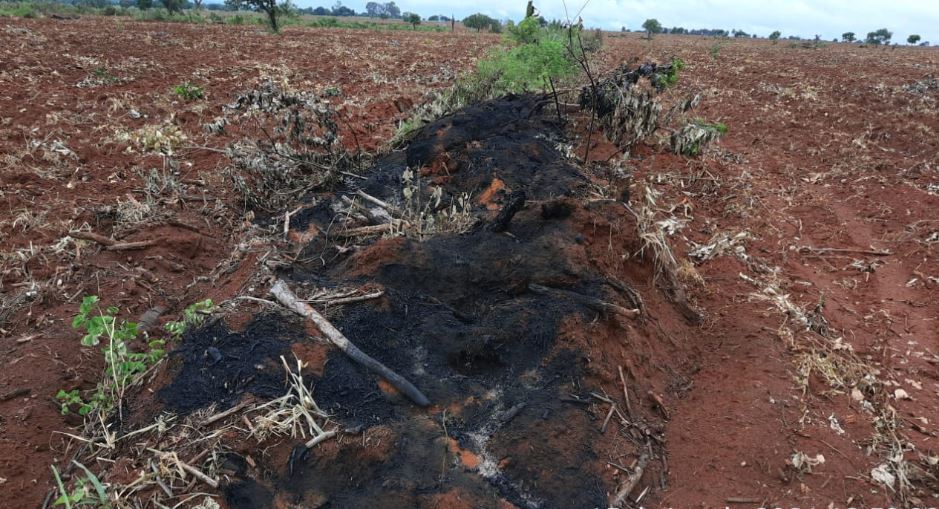PMA autua paulista por derrubada de árvores e incêndio ilegal da vegetação nativa em sua fazenda em Selvíria
