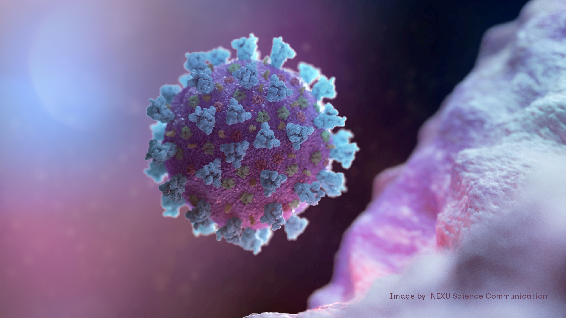Equipe da OMS inicia investigação sobre origem do novo coronavírus