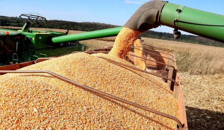 Política agrícola do MS garante a expansão da área de soja em 44%