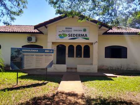 Sidrolândia: Sederma esclarece como realizar pedido para poda e autorização para remoção de árvore