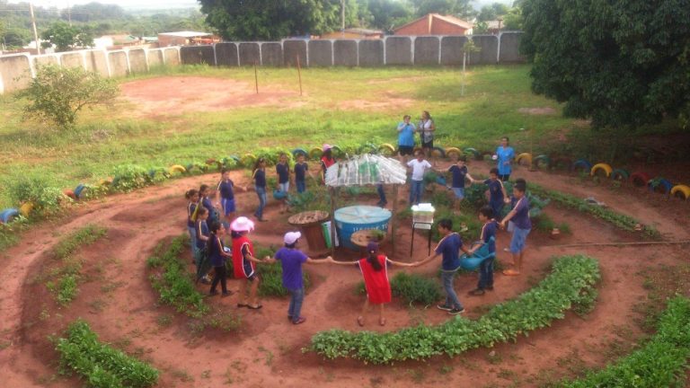 Projeto de horta e estudo de PANC realizado por alunos de escola da REME é destaque em revista científica