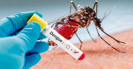 Nova Andradina apresenta baixa incidência de dengue em 2021