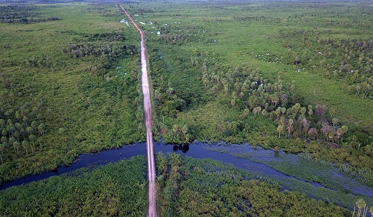 Obras de acesso à ponte que interliga os pantanais da Nhecolândia e Paiaguás estão adiantadas