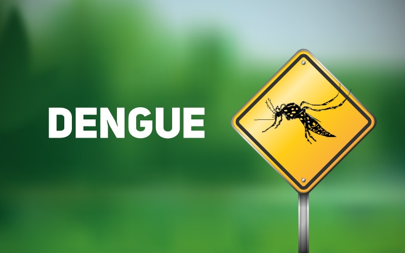 Boletim Epidemiológico: Saúde registra 87 casos suspeitos de dengue em Três Lagoas