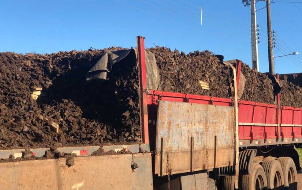 Ponta Porã: Polícia Federal apreende 460 kg de maconha em carga de pneu triturado