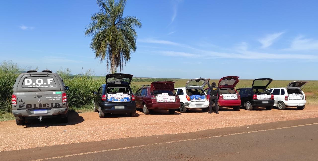 Seis veículos que seguiam para Campo Grande com mercadorias ilegais foram apreendidos pelo DOF durante a Operação Hórus