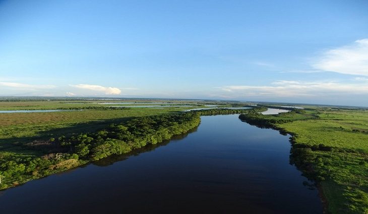Mato Grosso do Sul abriga maior área contínua de Mata Atlântica no interior do país