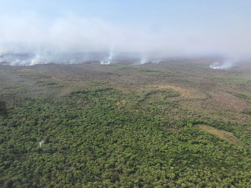 Projeto analisa áreas degradadas pelo fogo no Pantanal para futura recuperação da paisagem