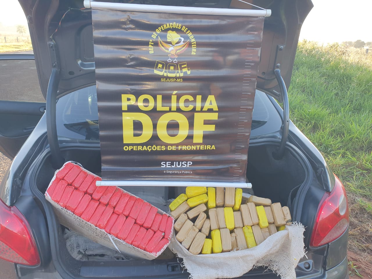 Veículo que seguia para o Paraná com mais de 200 quilos de maconha foi apreendido pelo DOF durante a Operação Hórus