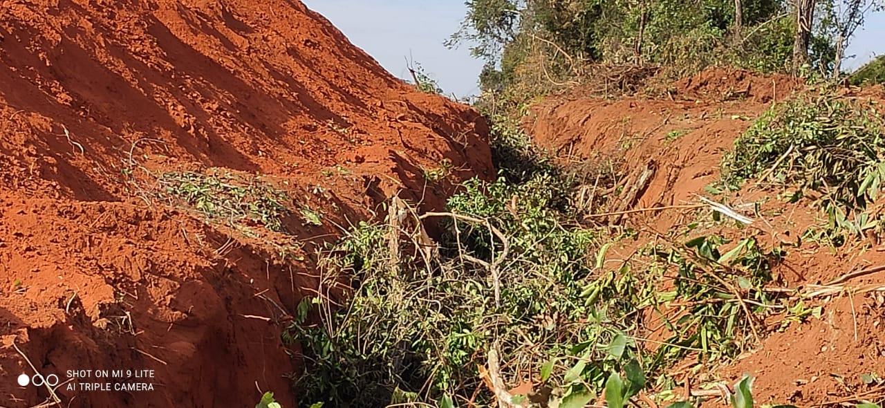PMA de Bataguassu autua paulista em R$ 6,5 mil por derrubar árvores e enterrar a madeira ilegalmente e ainda usando motosserra ilegal em sua propriedade em MS