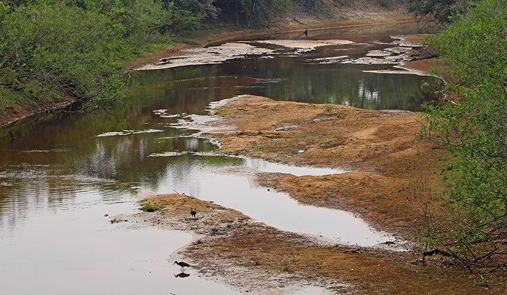 Com mais baixa estação chuvosa em 10 anos, Pantanal já tem 80% das propriedades afetadas