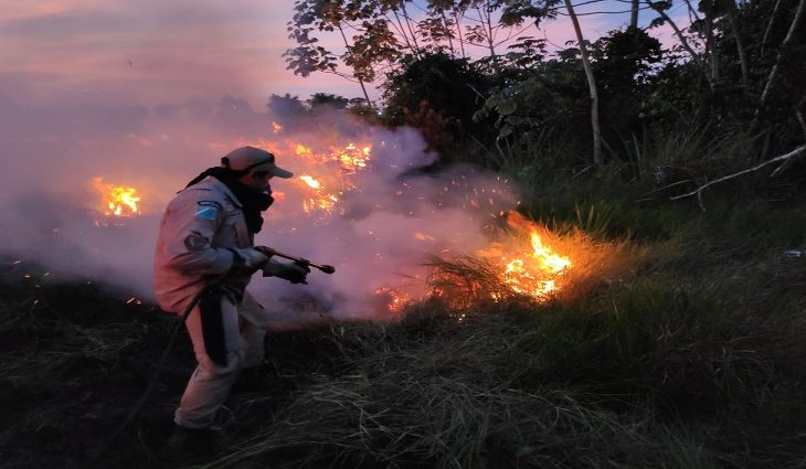 Com ações preventivas à incêndios florestais, Bombeiros devem executam mais de 500 diligências