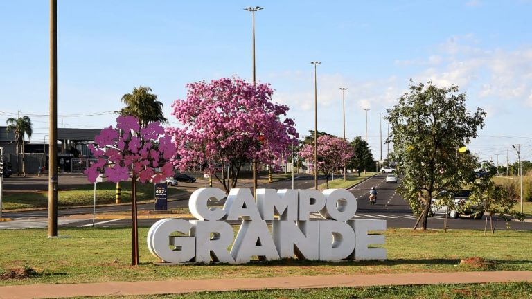 Campo Grande, também conhecida como “cidade árvore do mundo”, ganha tom colorido com floração dos ipês
