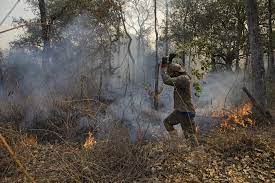 Governo de Mato Grosso do Sul avalia decretar emergência por queimadas