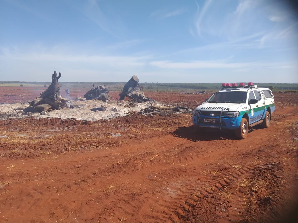 Polícia Militar Ambiental de Aquidauana autua infrator em R$ 7 mil na operação Prolepse por incêndio em troncos e galhadas de árvores proveniente de supressão da vegetação