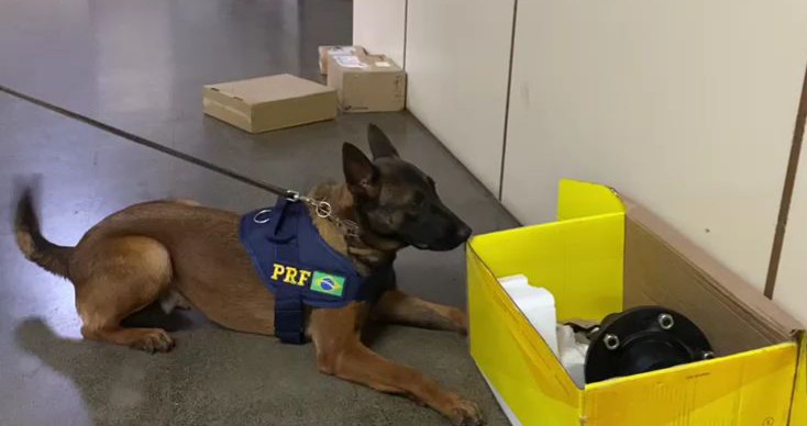 PRF apreende drogas encontradas por cães farejadores em encomendas que iriam para outros estados