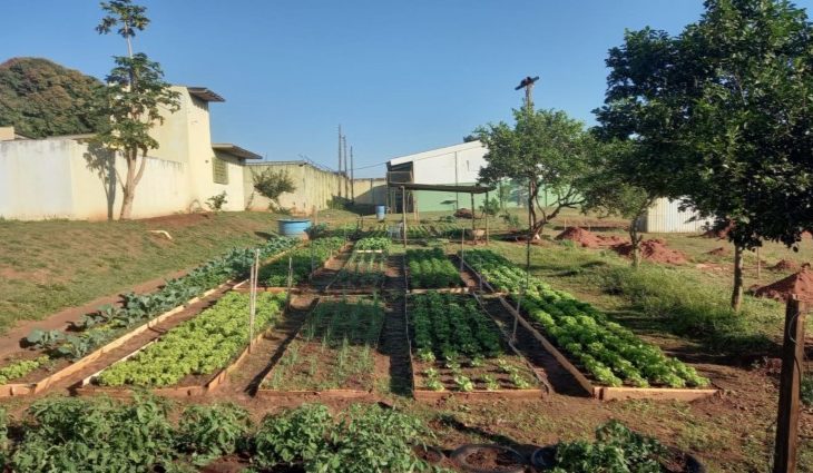 Agraer fornece 2 mil mudas para horta cultivada por internos da UNEI Dom Bosco