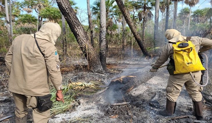 Corpo de Bombeiros mantém controle dos focos de calor no Pantanal