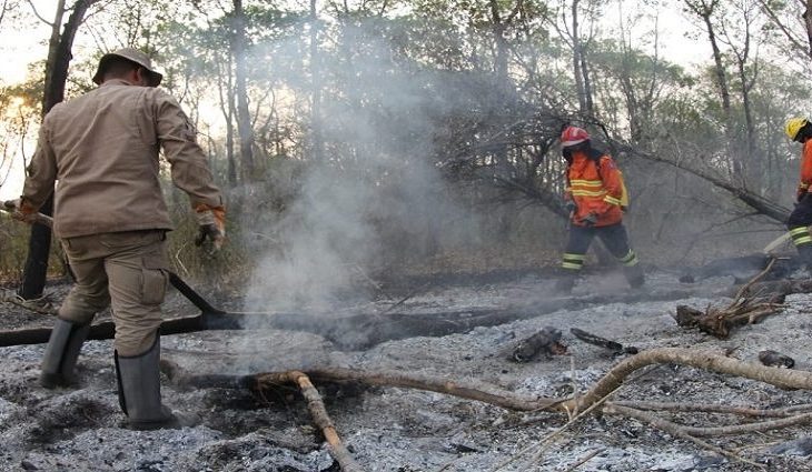Estão suspensas todas as autorizações de ‘queima controlada’ no Pantanal