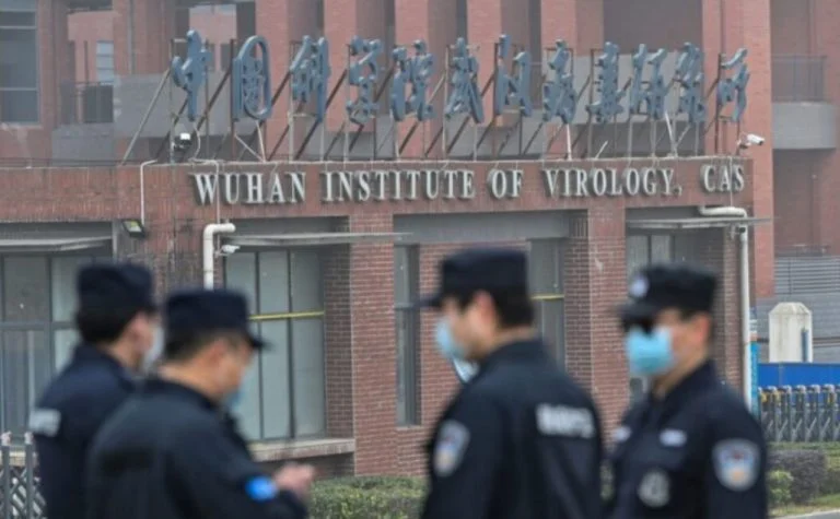 Documento mostra que laboratório em Wuhan buscou aportes para criar coronavírus em morcegos