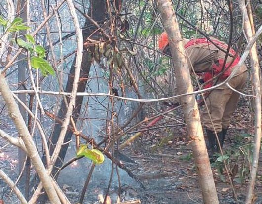 Fogo na Chapada dos Veadeiros afeta 14 mil hectares