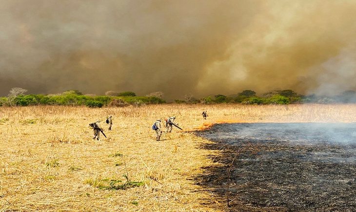 Combate aos incêndios no Pantanal mobiliza 510 homens e seis aeronaves: incidência de focos é menor em três anos críticos