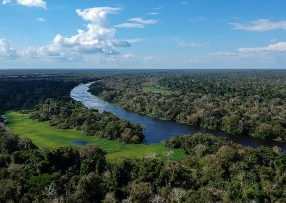 Dia da Amazônia! maior e mais preservada floresta tropical do mundo é do Brasil