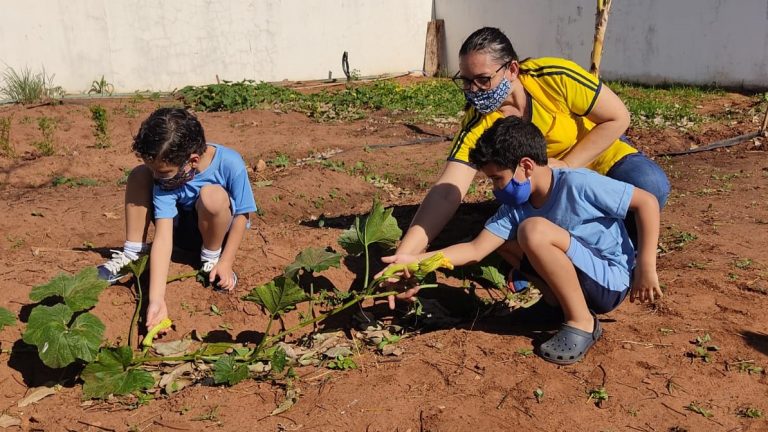 Alunos de EMEI participam de projeto que envolve cuidado com horta escolar e alimentação saudável