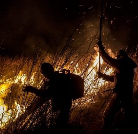 Bombeiros resgatam ribeirinhos e mantém combate e monitoramento aos incêndios no Pantanal