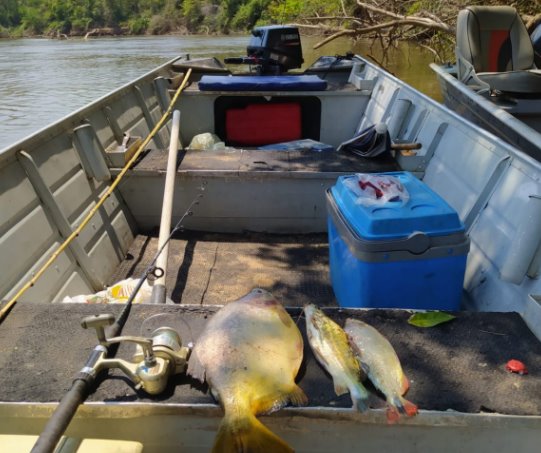 PMA de Aquidauana prende e autua turista paulista por pesca predatória no rio Aquidauana e apreende pescado, barco, motor e petrechos de pesca