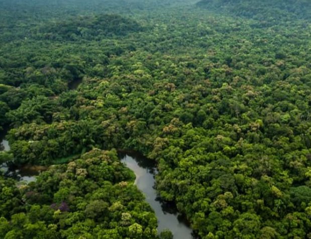 Vice-presidente defende investimentos para desenvolver a bioeconomia na Amazônia