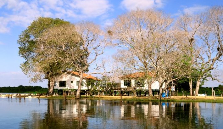Dia do Pantanal: investimentos do Estado levam tecnologia, dignidade e rompe isolamento no santuário ecológico