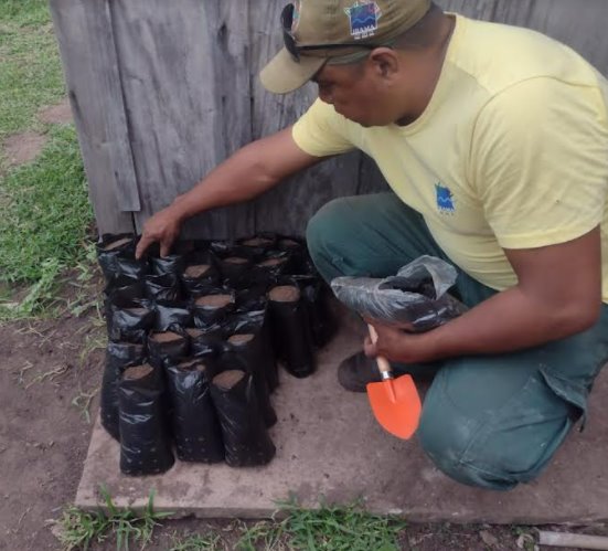 Indígenas Kadiwéu participam de oficina de produção de mudas nativas do Pantanal e Cerrado