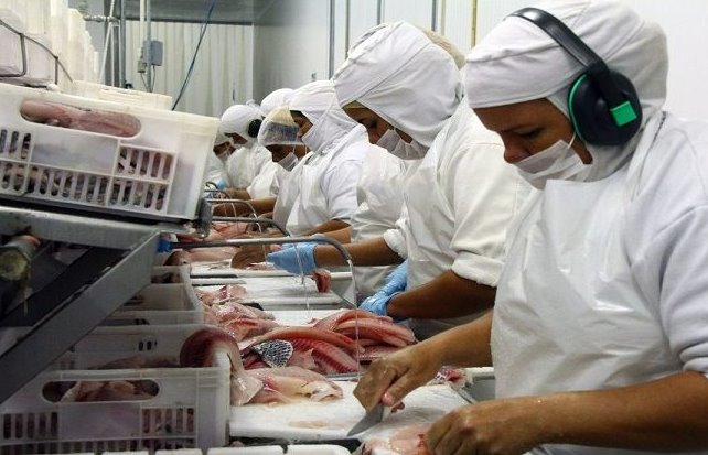MS quer elevar em quase 50% a produção de peixes de cultivo