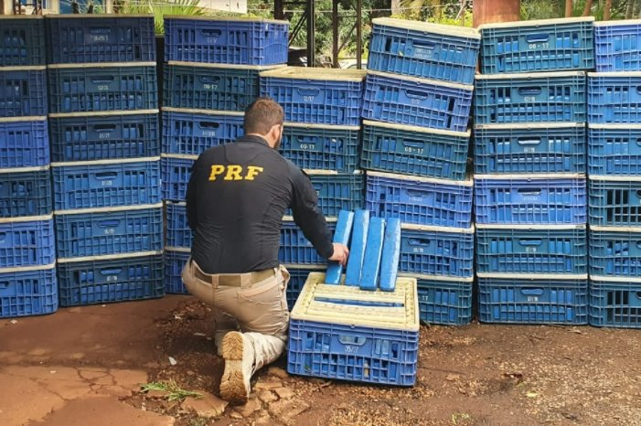PRF apreende em MS 4.3 toneladas de maconha em caminhão de caixas de frango