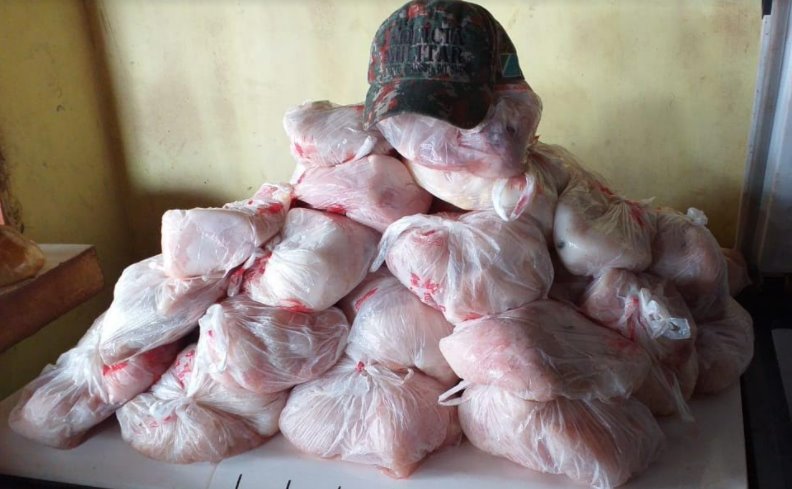 Polícia Militar Ambiental de Corumbá autua comerciante em R$ 25 mil por venda de carne de jacarés abatidos no pantanal e apreende 50 kg de carne