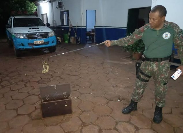 Polícia Militar Ambiental de Dourados captura segunda serpente peçonhenta em menos de uma semana na cidade